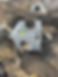 IMG_7286.jpeg