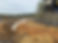 IMG_9743.jpeg